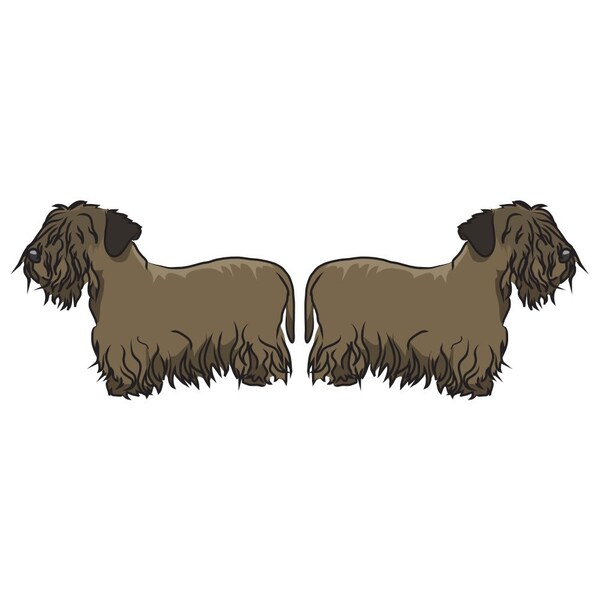Cesky Terrier Dog Decal, Dog Lover Decor Vinyl Sticker